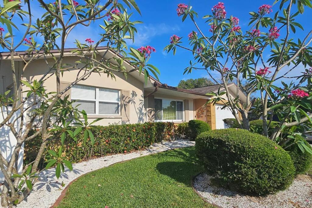 Cozy House Near The #1 Beaches In Fl! Apartment Clearwater Exterior photo